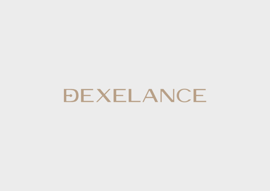 Copertura dell'aumento di capitale di Dexelance