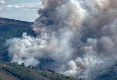 Incendi boschivi in Spagna e Francia