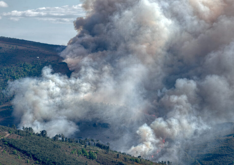 Incendi boschivi in Spagna e Francia
