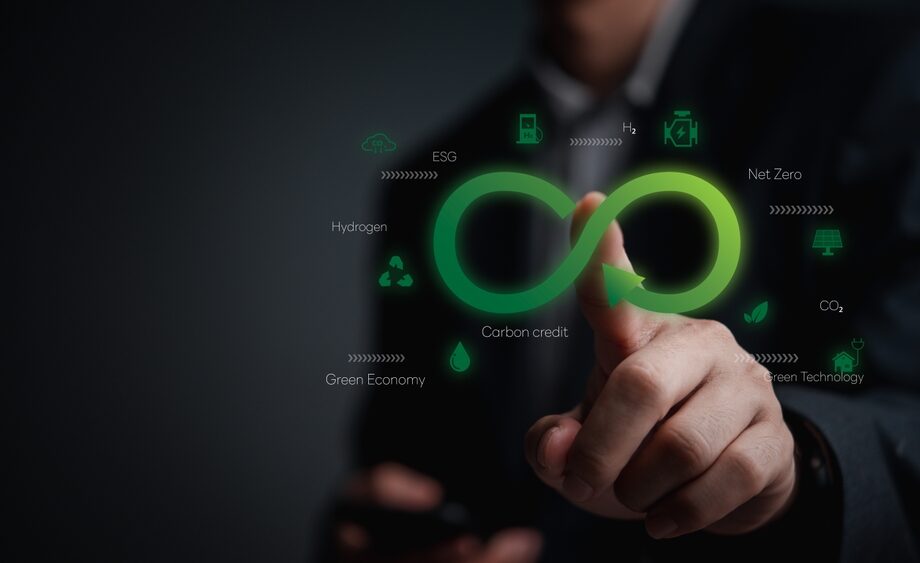 Progetto REMICS e POLO MICS per l'innovazione circolare