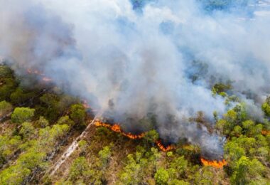 Incendi boschivi in Italia 2026