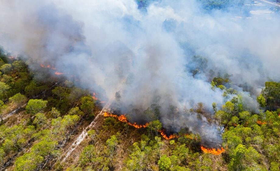 Incendi boschivi in Italia 2026