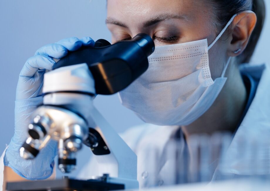 Ricerca sulle staminali ematopoietiche