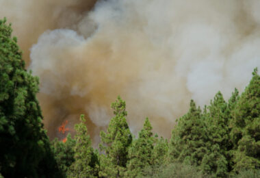 Incendi in Gironda