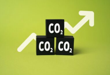 Grafico andamento prezzo CO2