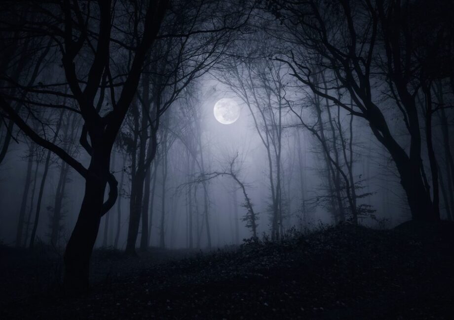 Silent Hill: Townfall - immagine del gioco