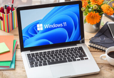 Immagine di Windows 11