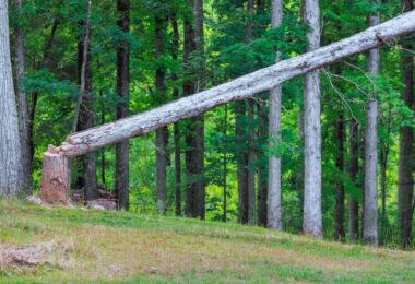Pannelli in legno