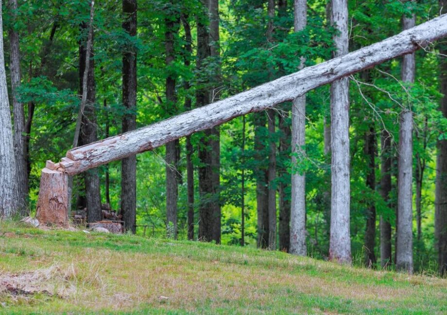 Pannelli in legno