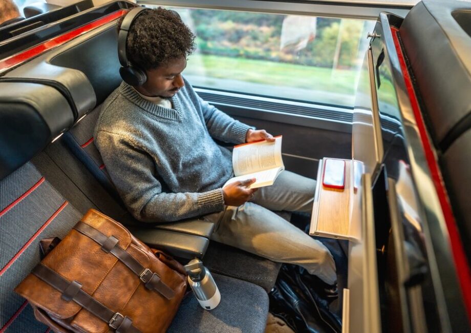 Trasporto pubblico locale in Italia